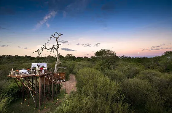 10 Best Treetop Hotels in the World